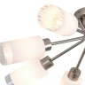 Потолочная люстра Escada Muscari 150004/8C Nickel ES0000043