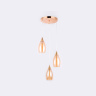 Подвесной светильник Ambrella light TR3549