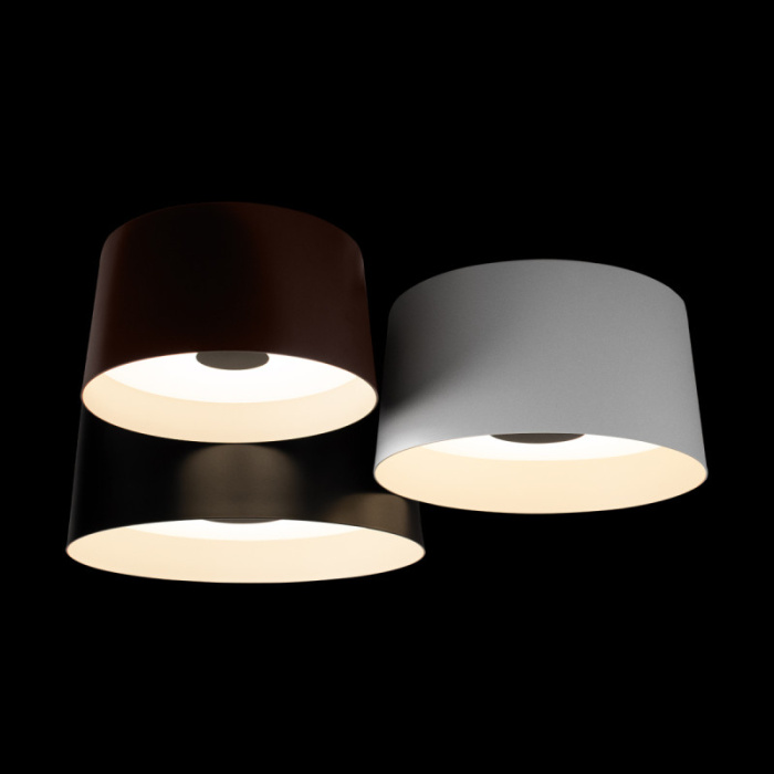 Потолочный светильник LOFT IT Duo 10360/3