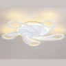 Потолочный светодиодный светильник с пультом Ambrella light FA4476