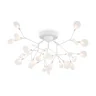 Потолочная люстра Freya Florencia FR5049CL-27W1