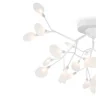 Потолочная люстра Freya Florencia FR5049CL-27W1