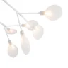 Потолочная люстра Freya Florencia FR5049CL-27W1