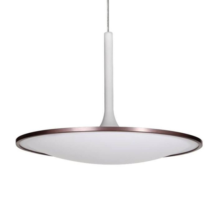 Светодиодный подвесной светильник L'Arte Luce Luxury Rowdy L21763.02