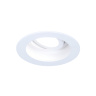 Точечный поворотный светильник MR16 Ambrella light TN175