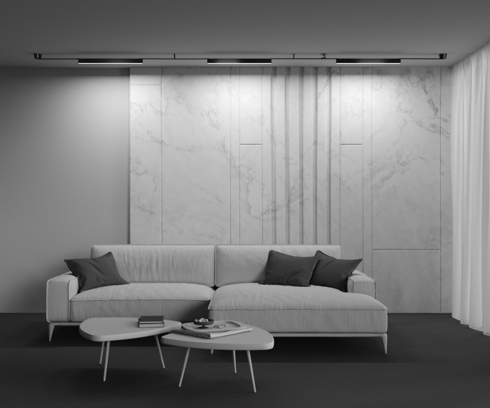 Трековый светильник Maytoni Basis TR129B-24W3K-B