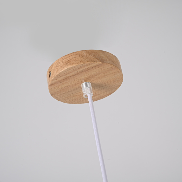 Подвесной светильник XD-B Black ImperiumLoft