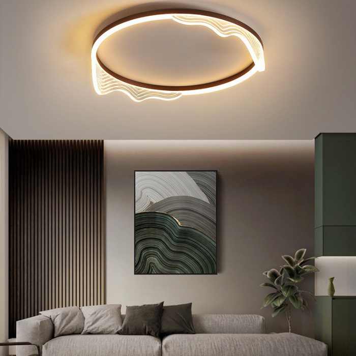 Потолочный светильник IZELIN D50 Black ImperiumLoft