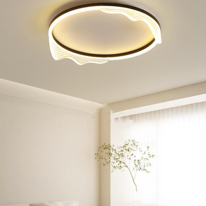 Потолочный светильник IZELIN D50 Black ImperiumLoft