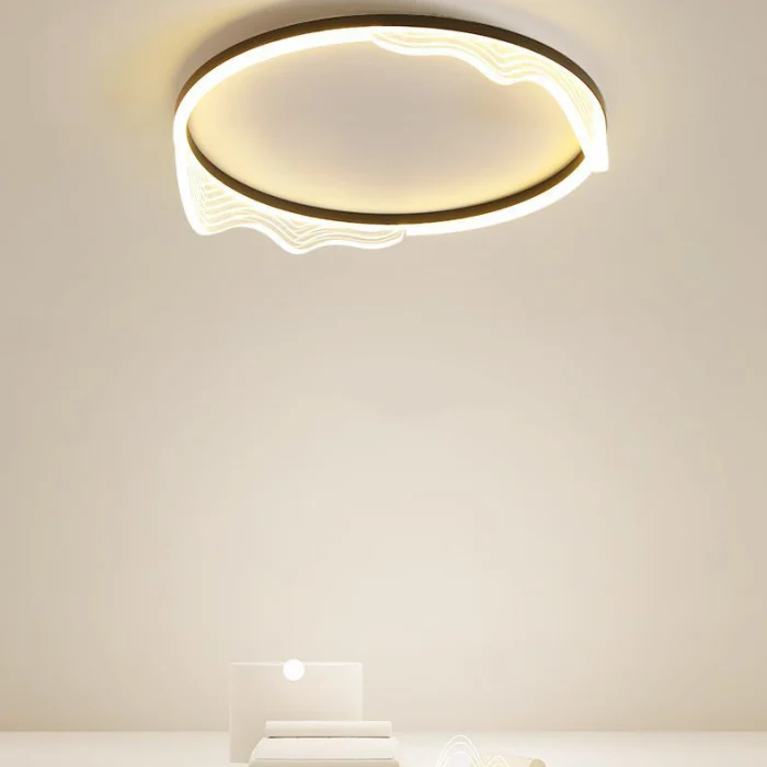 Потолочный светильник IZELIN D50 Black ImperiumLoft