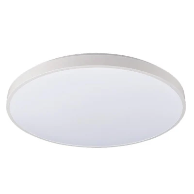 Потолочный cветильник Nowodvorski Agnes Round Led Pro White 10980