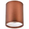 Накладной светильник WERTMARK Stecken ii WE804.01.607+WE804.RG.000