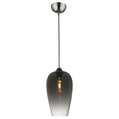 Светильник подвесной Wertmark Beni WE205.01.106