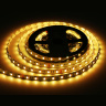 Светодиодная лента RGB с холодным белым светом GS4403 5050 60Led /10W m/ 24V IP20 RGBW+6500K 5m Ambrella light GS4403