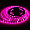 Светодиодная лента RGB с холодным белым светом GS4403 5050 60Led /10W m/ 24V IP20 RGBW+6500K 5m Ambrella light GS4403