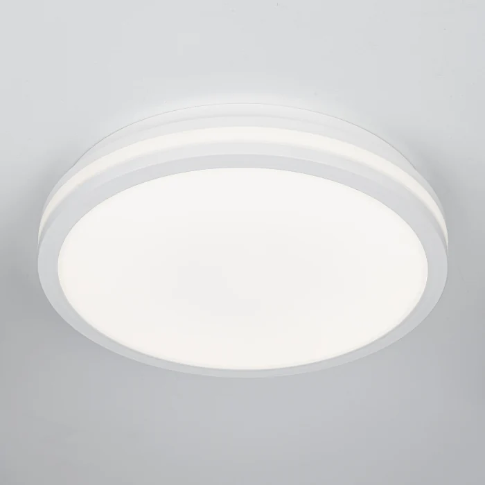 Светильник накладной Citilux LUNS CL711020V