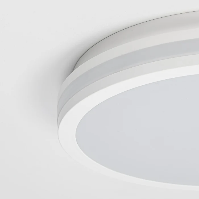 Светильник накладной Citilux LUNS CL711020V