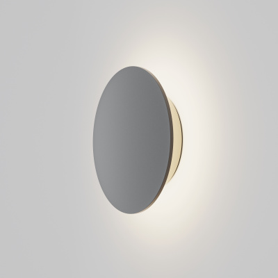 Светильник настенный Maytoni Wald O420WL-L12GF