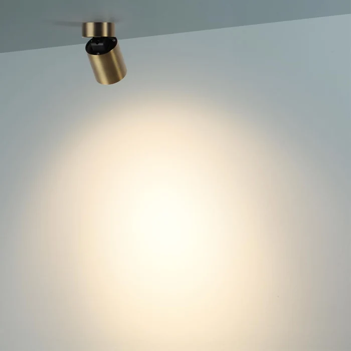 Потолочный светильник Odeon Light Turno 7131/7CL