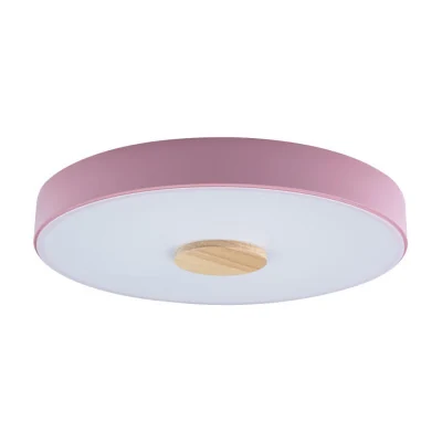 Светильник потолочный Loft it Axel 10003/24 Pink