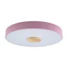 Светильник потолочный Loft it Axel 10003/24 Pink