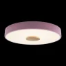 Светильник потолочный Loft it Axel 10003/24 Pink