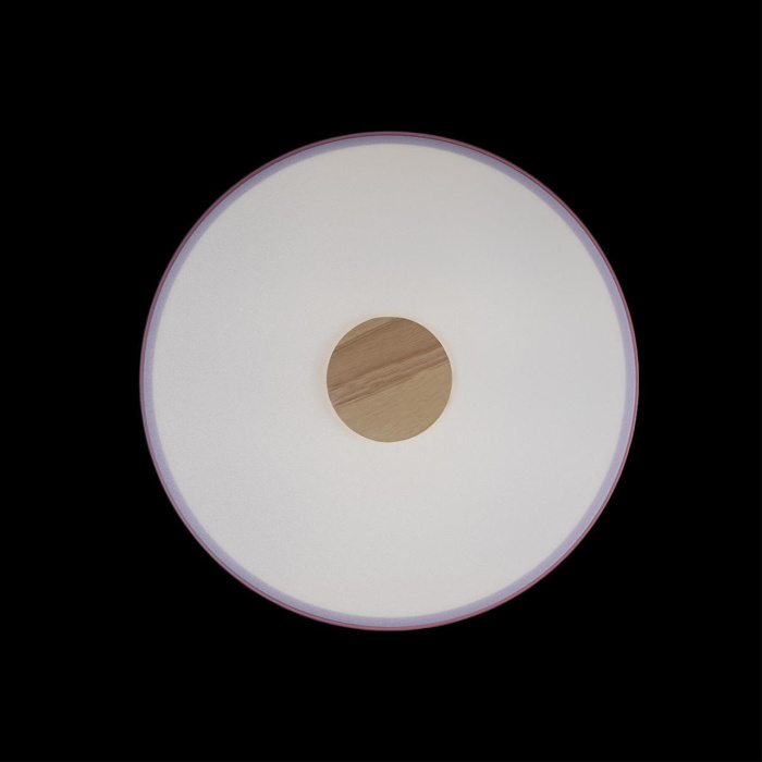 Светильник потолочный Loft it Axel 10003/24 Pink