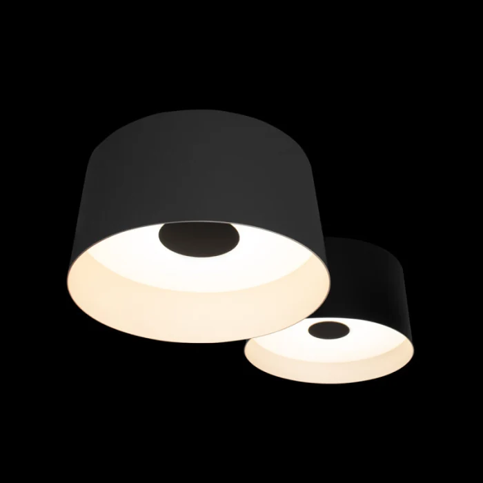 Потолочный светильник LOFT IT Duo 10360/2