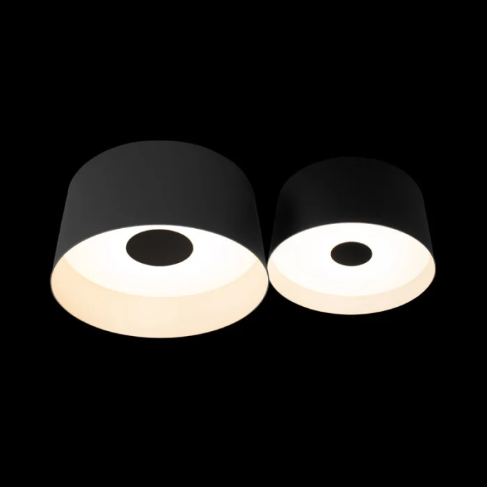 Потолочный светильник LOFT IT Duo 10360/2