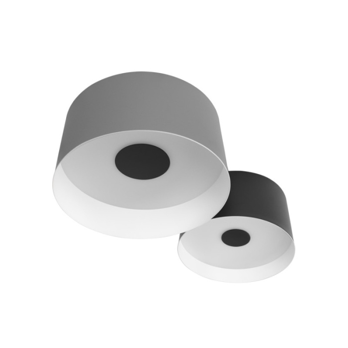 Потолочный светильник LOFT IT Duo 10360/2