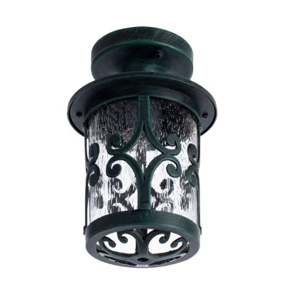 Уличный потолочный светильник Arte Lamp PERSIA A1453PF-1BG