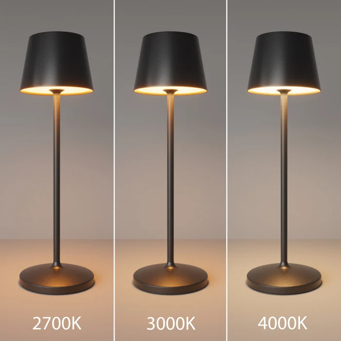 Настольная лампа с аккумулятором Maytoni Nook MOD494RL-L1BK