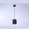 Светильник подвесной со сменной лампой Ambrella light TN5125
