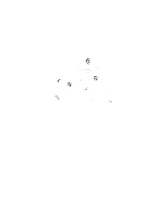 Люстра потолочная Lucia Tucci Fiori di rose 112.3.1