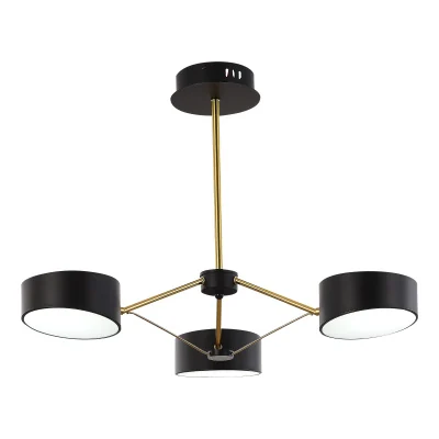 Потолочный светильник evoluce VALLE SLE6005-402-03