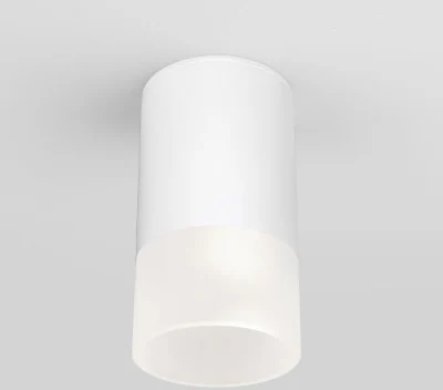 Уличный потолочный светильник Elektrostandard Light led 4690389177927