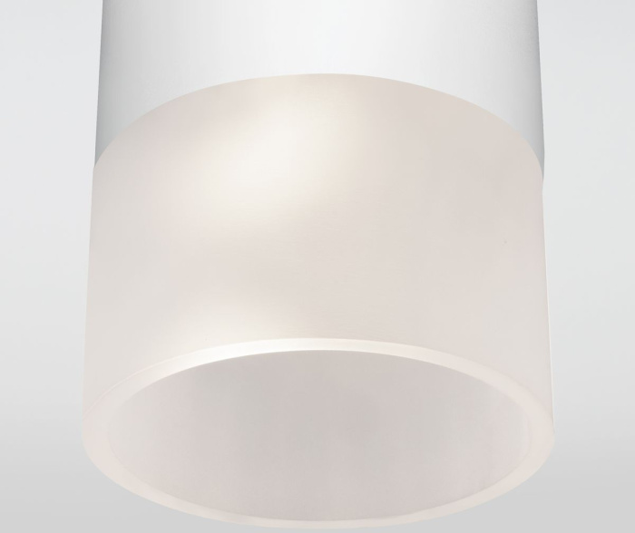 Уличный потолочный светильник Elektrostandard Light led 4690389177927