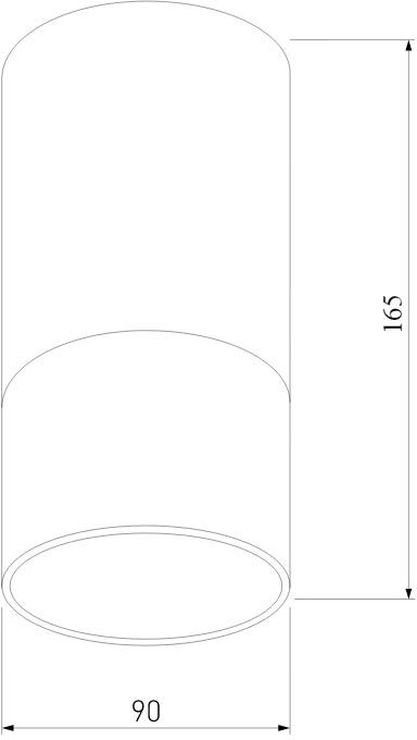 Уличный потолочный светильник Elektrostandard Light led 4690389177927