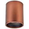Накладной светильник WERTMARK Stecken ii WE804.01.607+WE804.RG.020