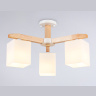 Потолочный светильник Ambrella Light Traditional TR83115