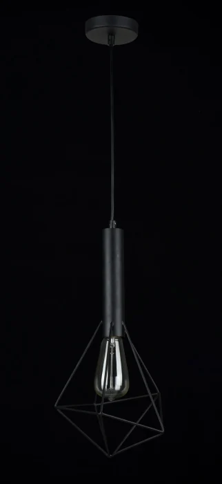 Подвесной светильник Maytoni T021-01-B