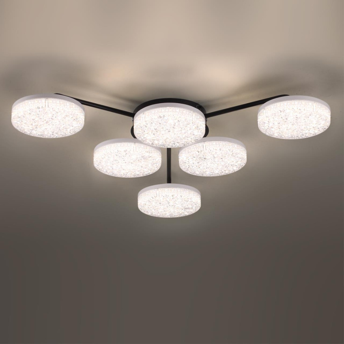 Накладная люстра Lumion Didana 8236/6CL