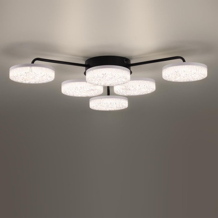 Накладная люстра Lumion Didana 8236/6CL