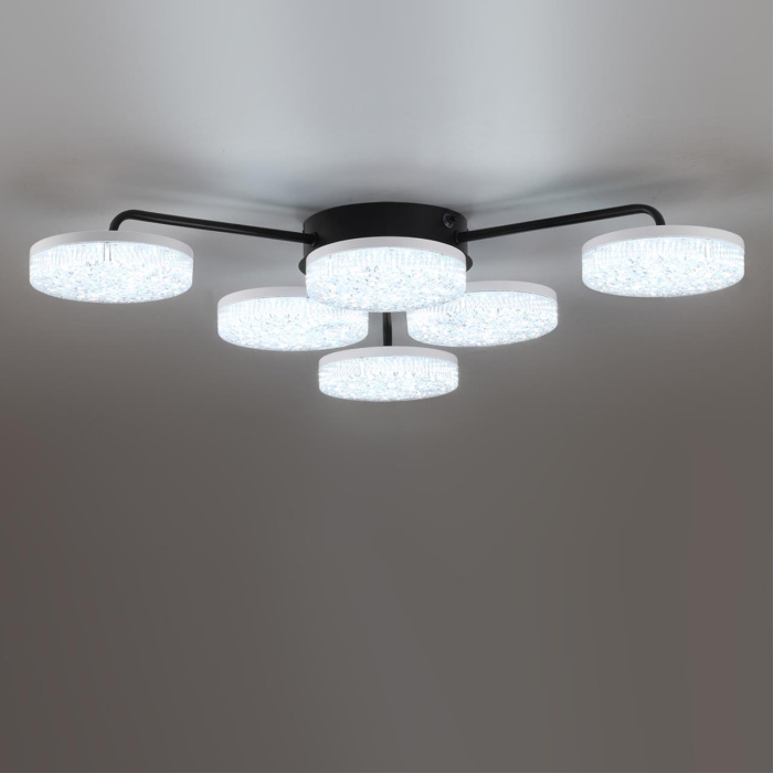 Накладная люстра Lumion Didana 8236/6CL