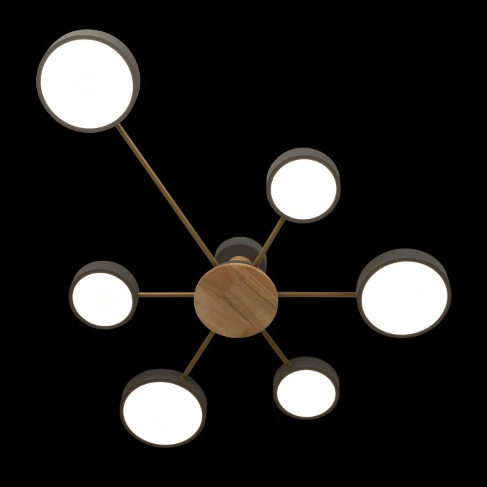 Потолочный светильник LOFT IT Sunrise 10316/6 Grey