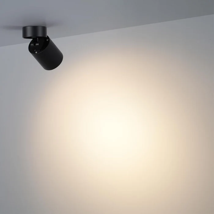 Потолочный светильник Odeon Light Turno 7132/7CL