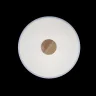 Светильник потолочный Loft it Axel 10003/24 White