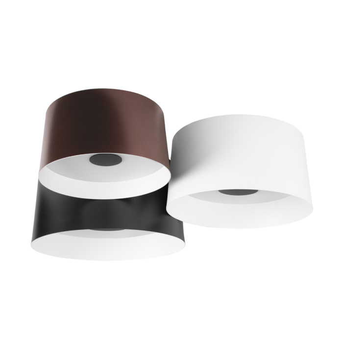 Потолочный светильник Loft it Duo 10360/3