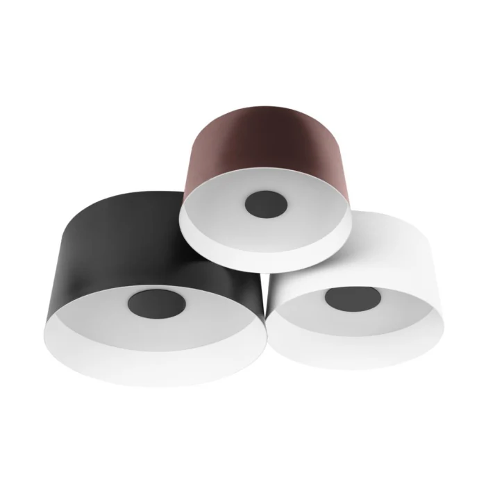 Потолочный светильник Loft it Duo 10360/3