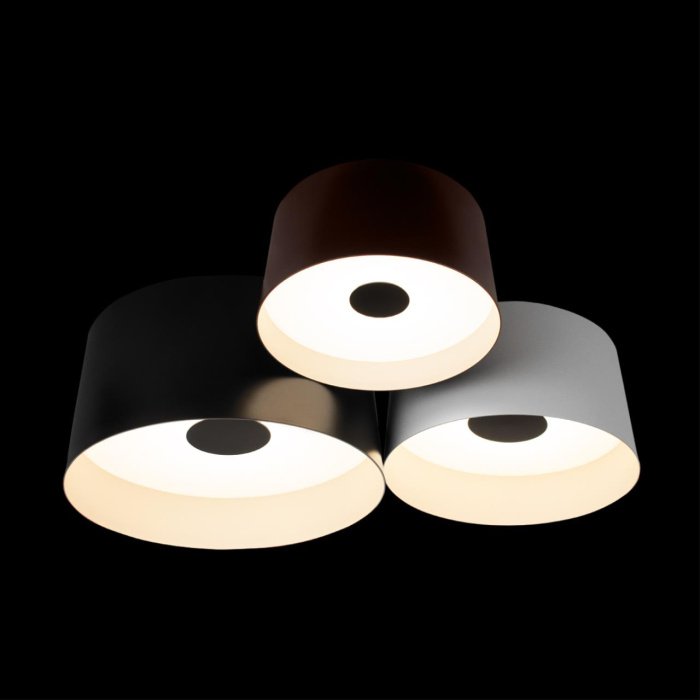 Потолочный светильник Loft it Duo 10360/3